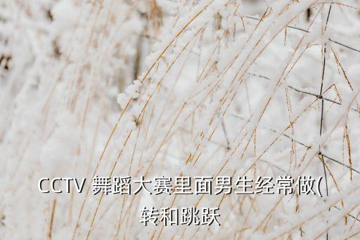 CCTV 舞蹈大赛里面男生经常做(转和跳跃