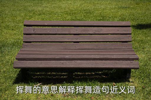 挥舞的意思解释挥舞造句近义词