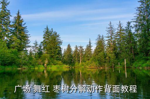 舞蹈视频广场舞红枣树,广场舞教学视频红枣村