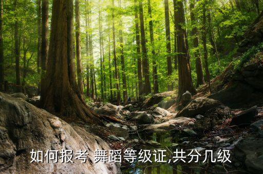 如何报考 舞蹈等级证,共分几级