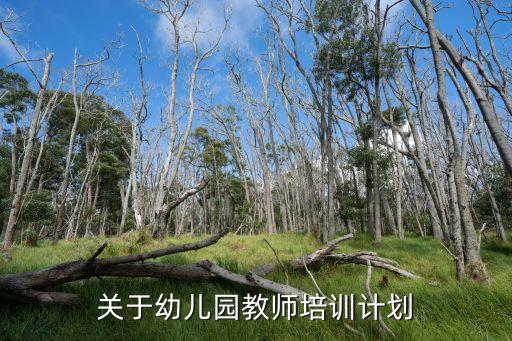 关于幼儿园教师培训计划