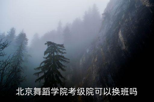 北京舞蹈学院考级院可以换班吗