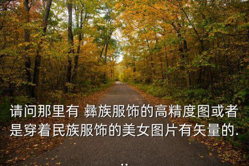 请问那里有 彝族服饰的高精度图或者是穿着民族服饰的美女图片有矢量的...