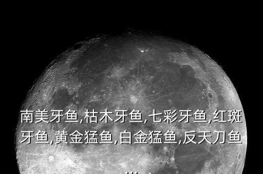 彩呀彩舞蹈视频,彩云之上舞蹈视频