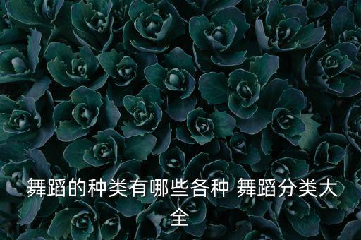  舞蹈的种类有哪些各种 舞蹈分类大全