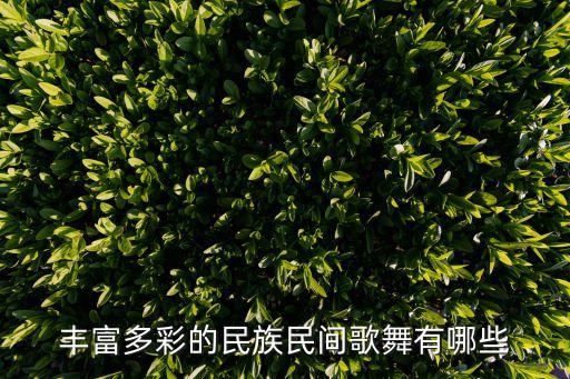 丰富多彩的民族民间歌舞有哪些