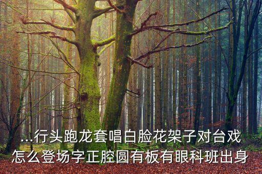...行头跑龙套唱白脸花架子对台戏怎么登场字正腔圆有板有眼科班出身