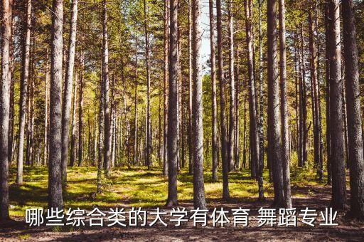 中山大学舞蹈专场