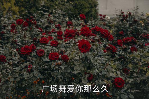  广场舞爱你那么久