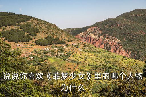 说说你喜欢《菲梦少女》里的哪个人物为什么
