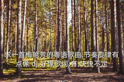 求一首梅艳芳的粤语歌曲,节奏旋律有点像 dj,好像歌词,有,快快不定...