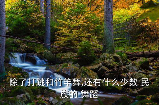 除了打跳和竹竿舞,还有什么少数 民族的 舞蹈