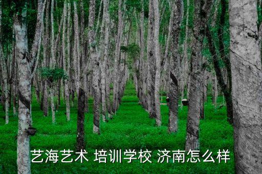 济南民族舞蹈培训,乌鲁木齐民族舞蹈培训