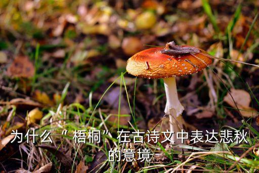 古典舞蹈梧桐