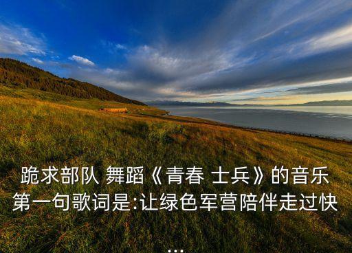 舞蹈《士兵》,《士兵》谢尔盖电影