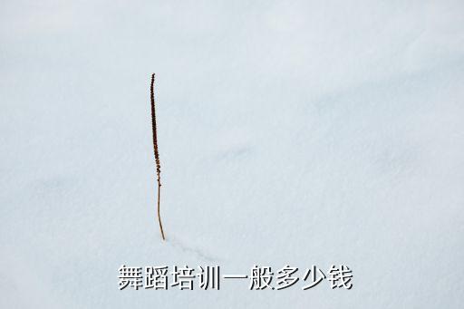 舞蹈私教课拼课会优惠吗
