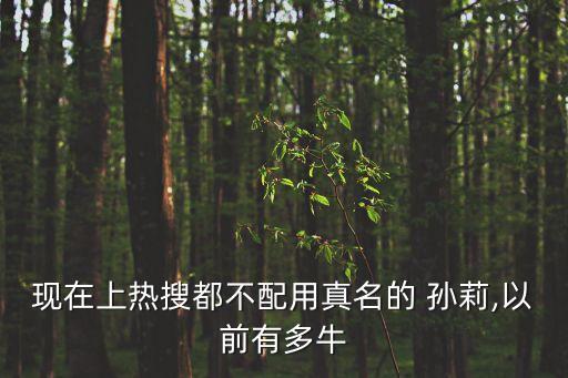现在上热搜都不配用真名的 孙莉,以前有多牛