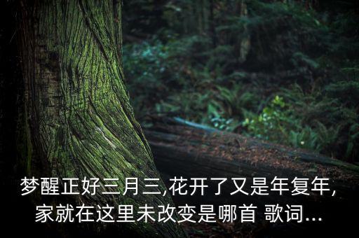 舞蹈桃花姑娘歌词,桃花姑娘舞蹈教学视频
