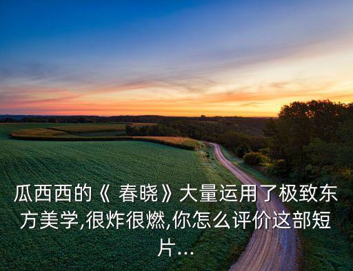瓜西西的《 春晓》大量运用了极致东方美学,很炸很燃,你怎么评价这部短片...