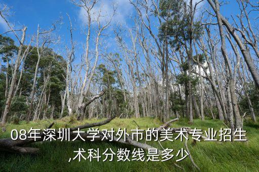 08年深圳大学对外市的美术专业招生,术科分数线是多少