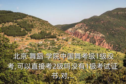  北京 舞蹈 学院中国舞考级1级没考,可以直接考2级吗没有1级考试证书,对...