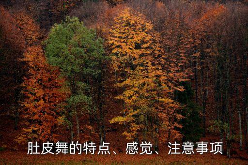  肚皮舞的特点、感觉、注意事项