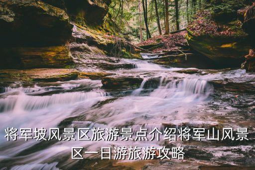 w湛江舞蹈队野花香,湛江舞蹈培训机构排名