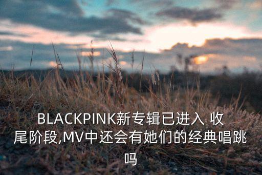 BLACKPINK新专辑已进入 收尾阶段,MV中还会有她们的经典唱跳吗