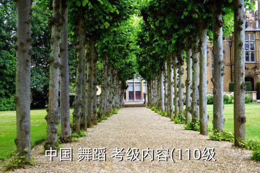 中国 舞蹈 考级内容(110级