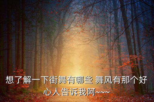 想了解一下街舞有哪些 舞风有那个好心人告诉我阿~~~