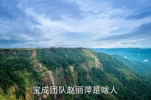 宝成团队赵丽萍是啥人