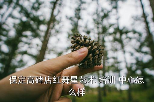 保定高碑店红舞星艺术 培训 中心怎么样
