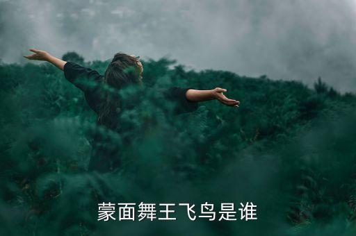 蒙面舞王飞鸟是谁
