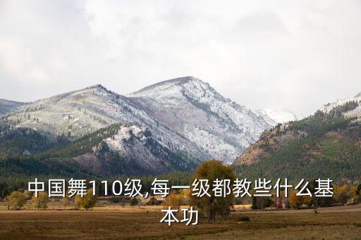 中国舞110级,每一级都教些什么基本功