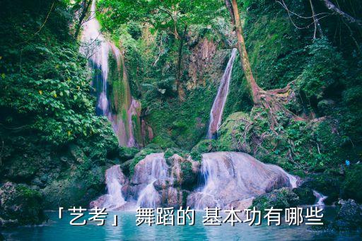 「艺考」 舞蹈的 基本功有哪些