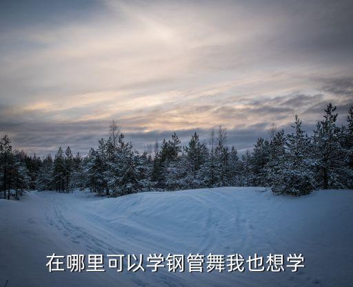 在哪里可以学钢管舞我也想学