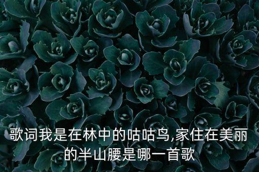 歌词我是在林中的咕咕鸟,家住在美丽的半山腰是哪一首歌