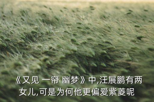 《又见 一帘 幽梦》中,汪展鹏有两女儿,可是为何他更偏爱紫菱呢