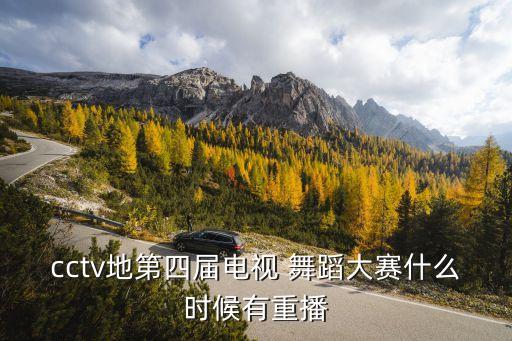 cctv地第四届电视 舞蹈大赛什么时候有重播