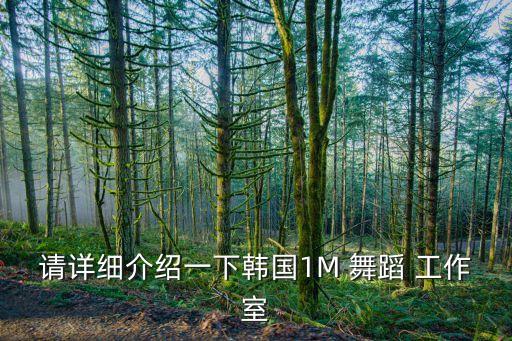 的舞蹈工作室,舞蹈工作室营业执照怎么办理