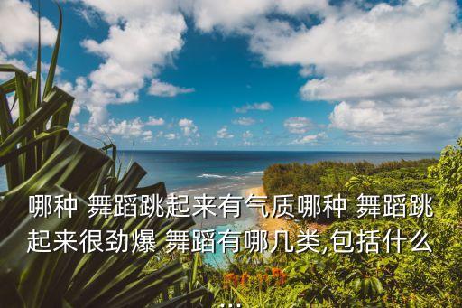 广场舞蹈包