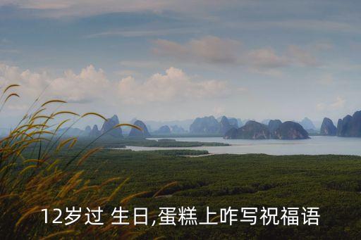 12岁过 生日,蛋糕上咋写祝福语