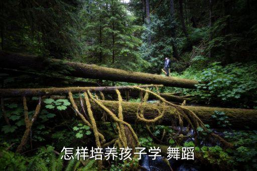 少儿基本功舞蹈独舞,一等奖少儿舞蹈视频大全独舞