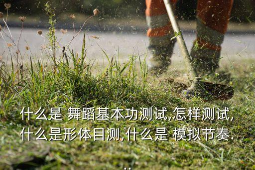 什么是 舞蹈基本功测试,怎样测试,什么是形体目测,什么是 模拟节奏...