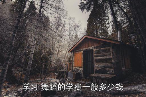 学习 舞蹈的学费一般多少钱