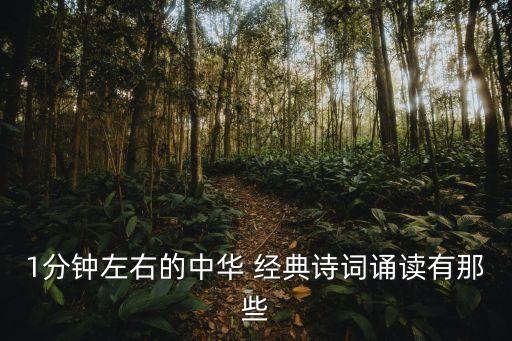 1分钟左右的中华 经典诗词诵读有那些
