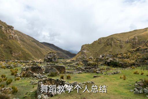 舞蹈教学个人总结