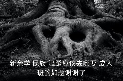 新余学 民族 舞蹈应该去哪要 成人班的如题谢谢了
