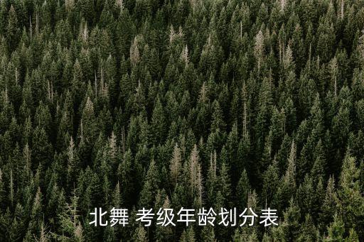  北舞 考级年龄划分表