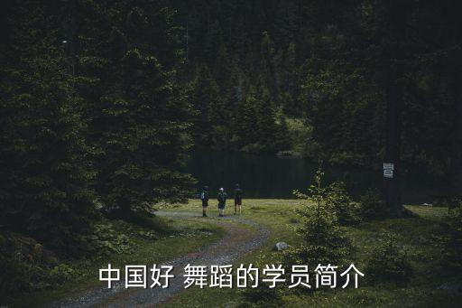 中国好舞蹈总决赛李德戈景
